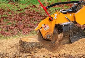 Trusted Pampa, TX Tree Care Experts